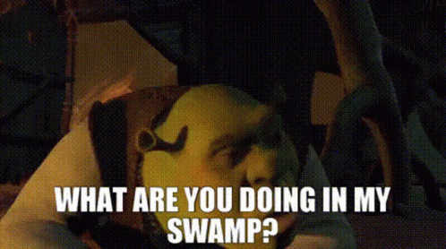 Shrek What Are You Doing In My Swamp GIF
