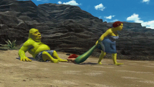 Shrek Wife Fiona Mad GIF