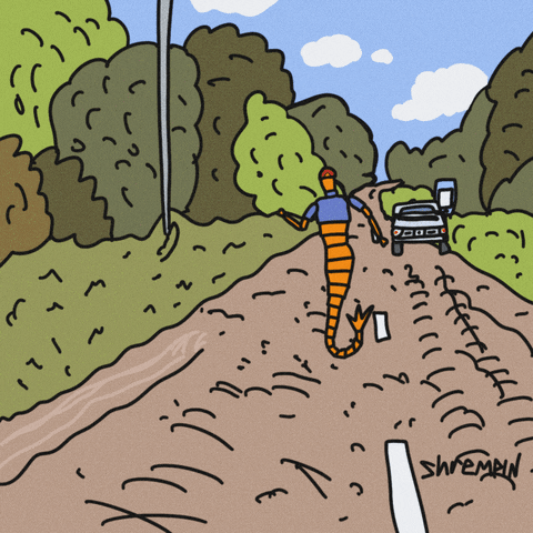 Shrempin As Forrest Gump Running GIF