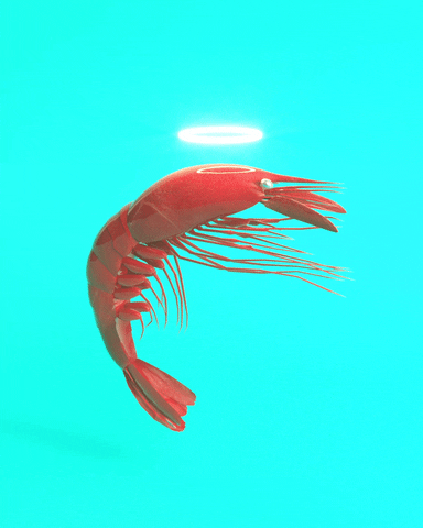 Shrimp Amidst Ocean Waters GIF