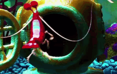 Shrimp Coming Out of Helmet
