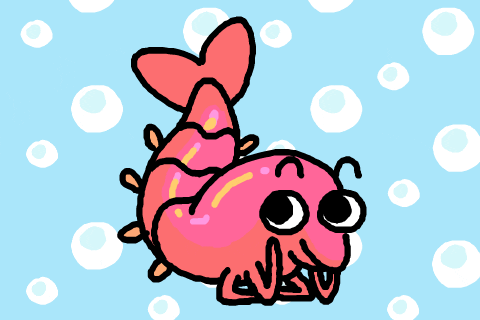 Shrimp Flirty Prawn GIF