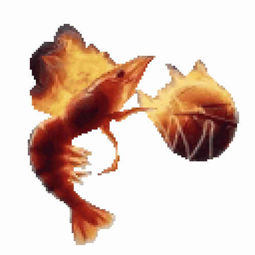 Shrimp on Fire Next to Basketball
