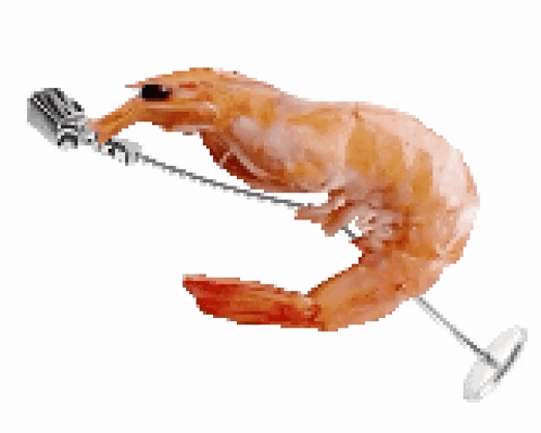 Shrimp Singing Into Microphone With String GIF