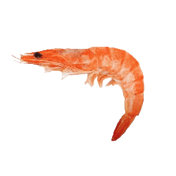 Shrimp With Black Eye