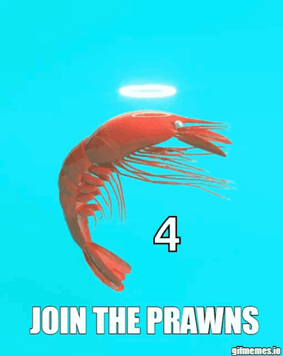Shrimp With Join The Prawns GIF
