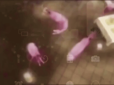 Shrimps Dancing To New Order GIF