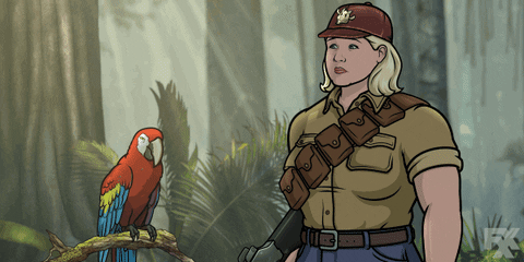 Shut Up Bird Macaw GIF