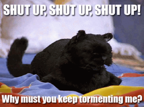 Shut Up Black Cat Torment GIF
