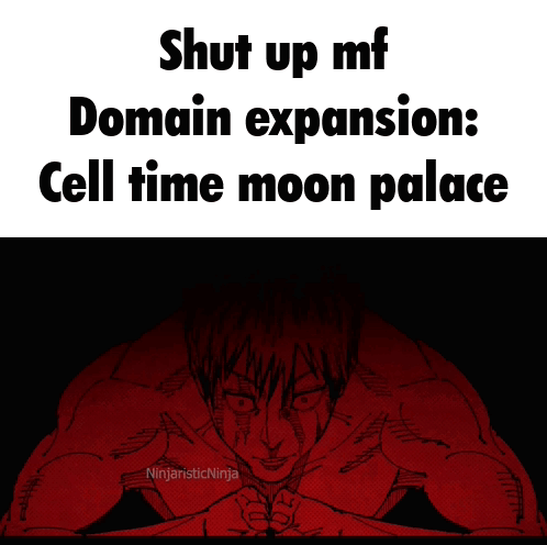 Shut Up Mf Domain Expansion Cell Time Moon Palace