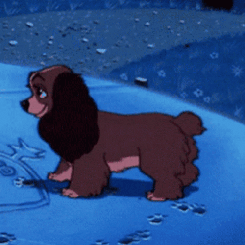 Shy Dog Lady And The Tramp GIF