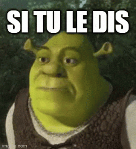 Si Shrek Memes GIF