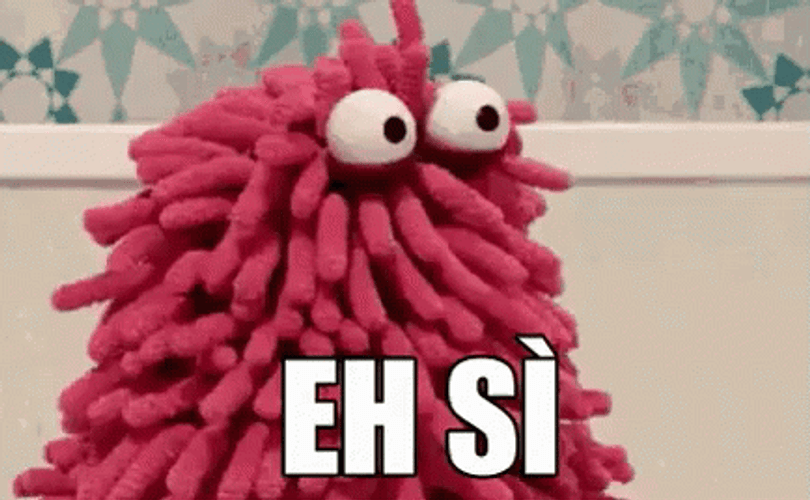 Si Wisch Mop GIF