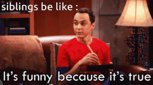 Siblings Funny But True GIF