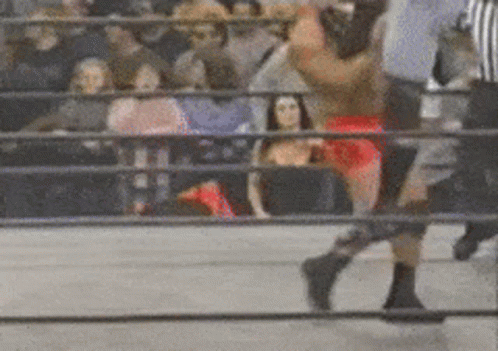 Sid Vicious Legend Wrestler GIF