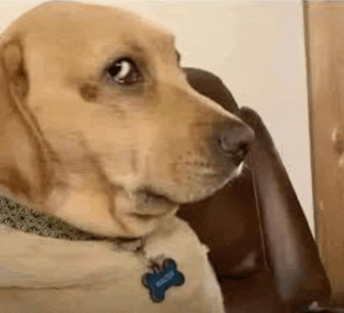 Side Eye Eww Meme GIF