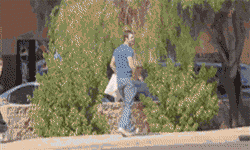 Side Of The Road Pillow Fight GIF