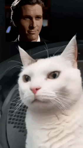 Sigma Khao Manee Face Meme GIF