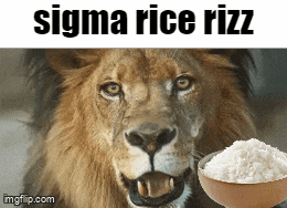 Sigma Rice Gif GIF