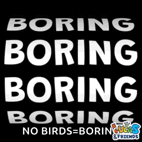 Sign Saying Boring Boring Boring And No Birds Boring GIF