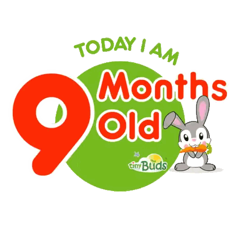 Sign Saying I Am 9 Months Old Bunny Eating Carrot