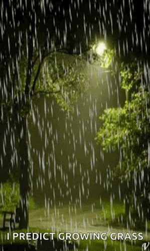 Sign Saying I Predict Growing Grass in the Rain