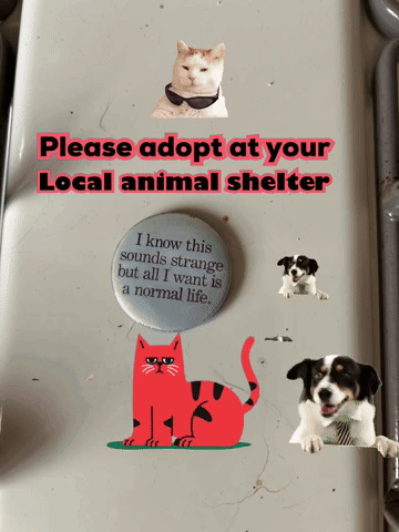 Sign Saying Please Adopt at Your Local Animal Shelter
