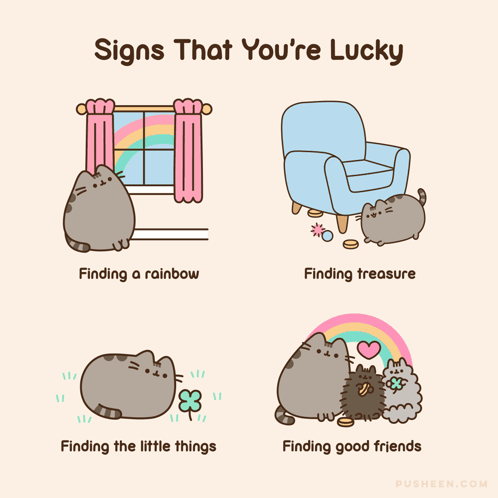Signs You're Lucky Includes Rainbow Treasure Friends
