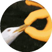 Silence I Kill You Pinching Beack GIF