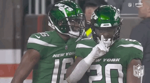 Silencing The Crowd Jets GIF