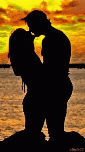 Silhouette Man Holding Woman 73