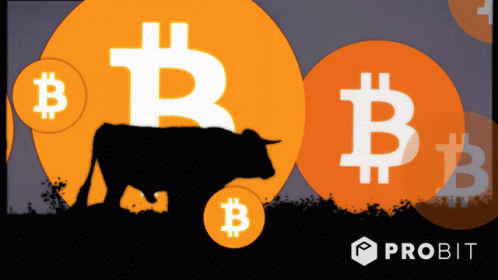 Silhouette of Bull Surrounded by Bitcoins