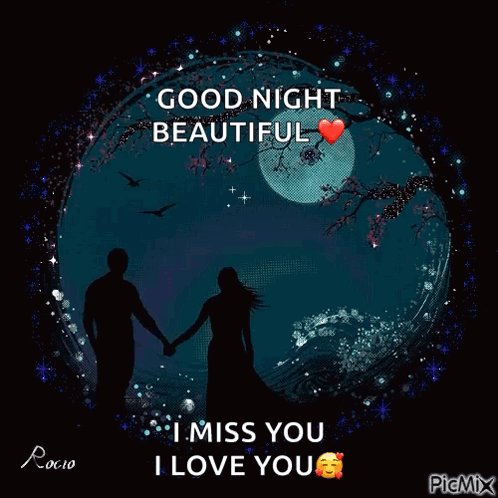 Silhouette of Man and Woman Holding Hands Good Night Beautiful I Miss You I Love You
