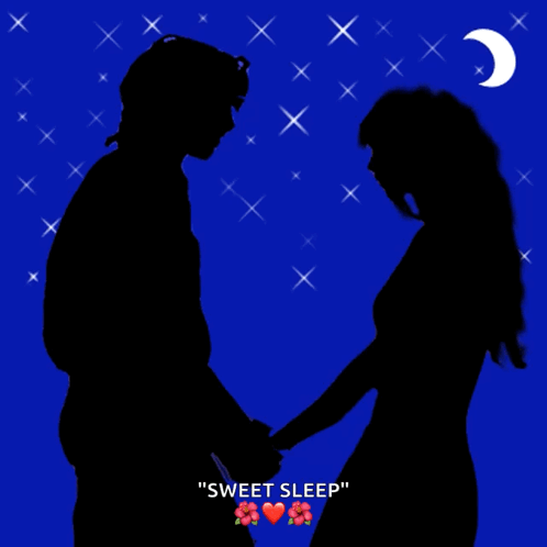 Silhouette of Man and Woman Holding Hands Sweet Sleep