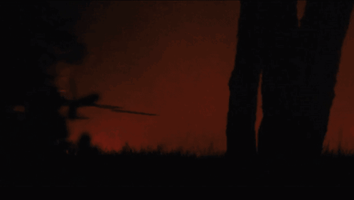 Silhouette of Man Running With Sword