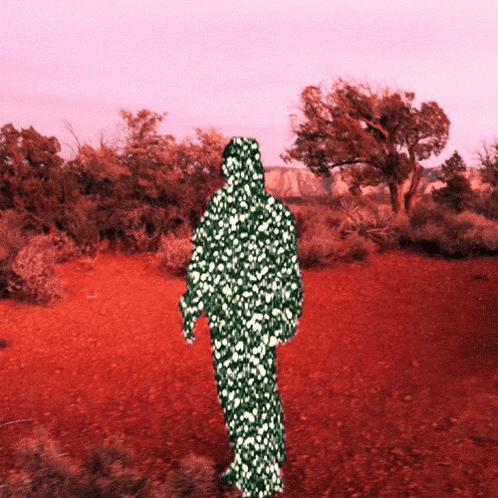 Silhouette Of Person In Camouflage Suit GIF