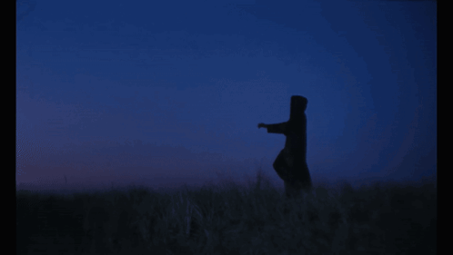 Silhouette of Person in Field