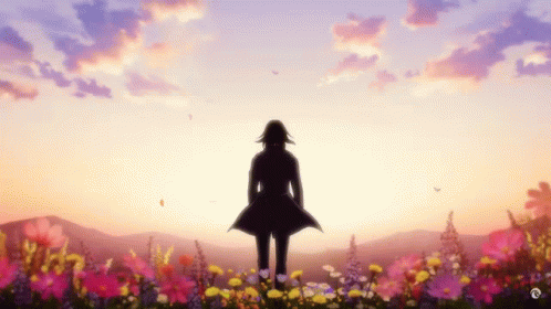 Silhouette Of Person In Flower Field At Sunset GIF