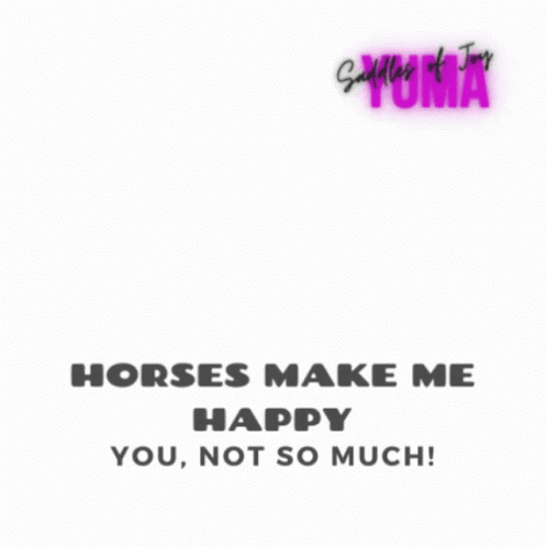 Silhouette Person Riding Horse Horses Make Me Happy GIF