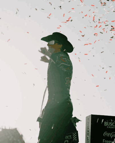 Silhouette Person Wearing Black Jacket Dove GIF