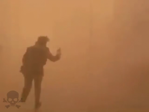 Silhouette Running In Foggy Field With Skull And Crossbones GIF