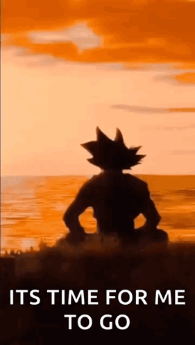 Silhouette Sitting On Beach Saying Its Time For Me To Go GIF