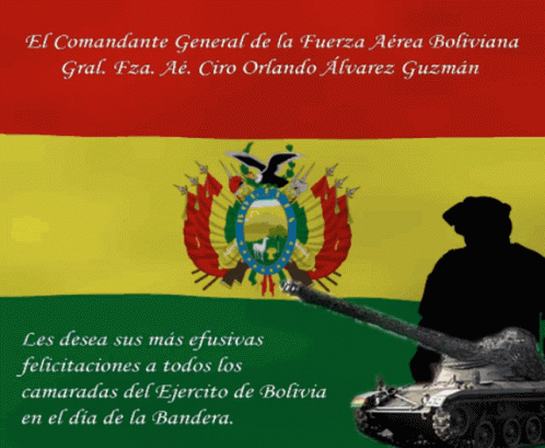 Silhouette Soldier Holding Gun and Flag