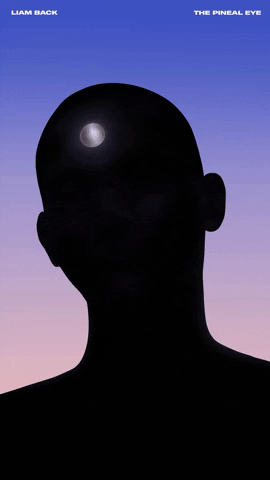 Silhouette Spiritual Pineal Eye GIF