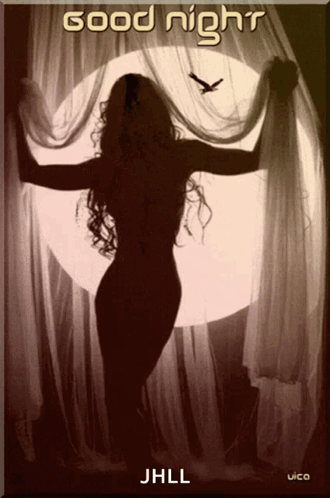 Silhouette Woman Good Night Jhll