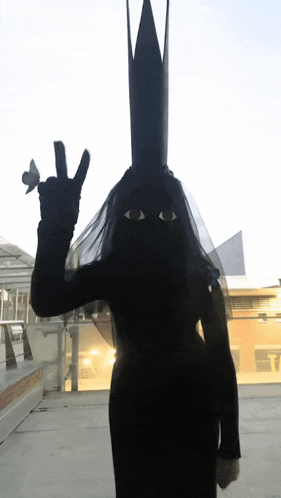Silhouette Woman With Veil And Crown GIF