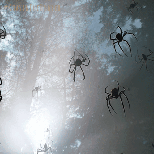 Silhouetted Spiders Foggy Sky Paranormal GIF