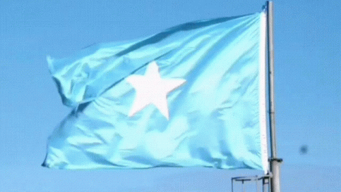 Silky Somalia Flag GIF