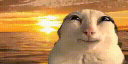 Silly Face On Rabbit Sunset GIF
