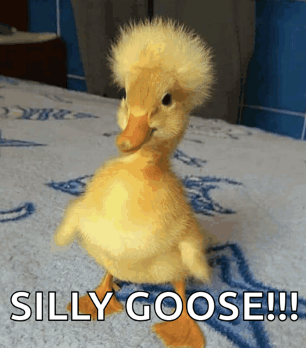 Silly Goose Fluffy Hair GIF